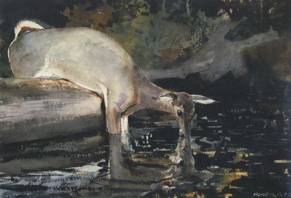 Winslow Homer Deer Drinking (mk44)